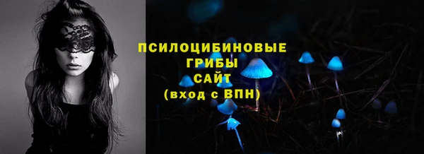 ALPHA-PVP Заводоуковск