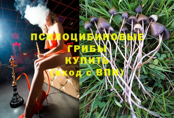 ALPHA-PVP Заводоуковск